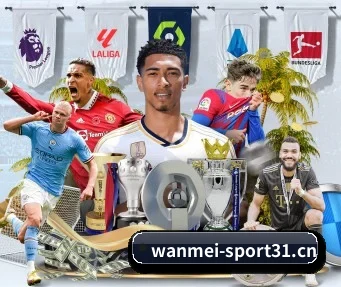 完美体育sport31 APP