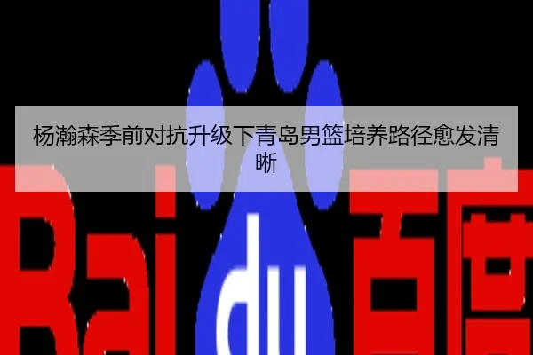 杨瀚森季前对抗升级下青岛男篮培养路径愈发清晰